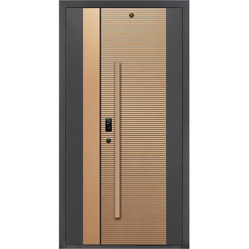 Porta d'ingresso in acciaio inossidabile moderna porta esterna smart lock porta d'ingresso per porta di casa